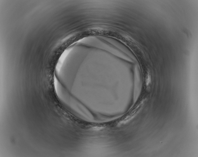X0000113300822200910131045