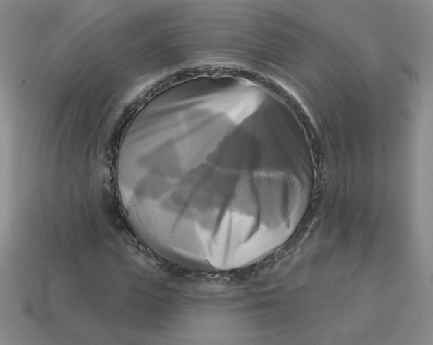 X0000113300823200910131045