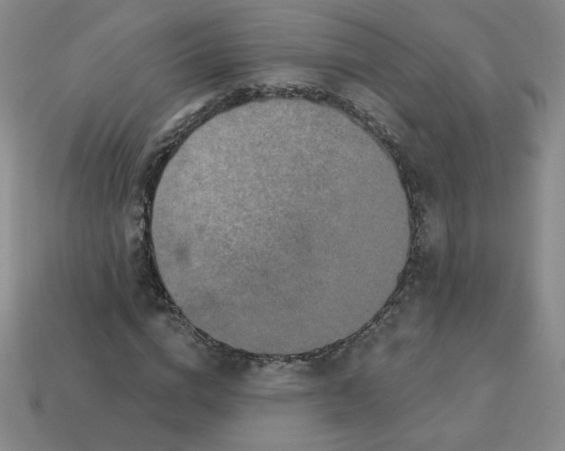 X0000113300824200910131045