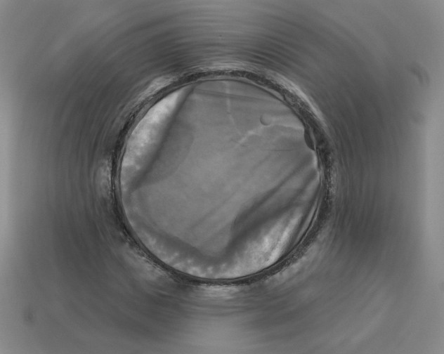 X0000113300825200910131045