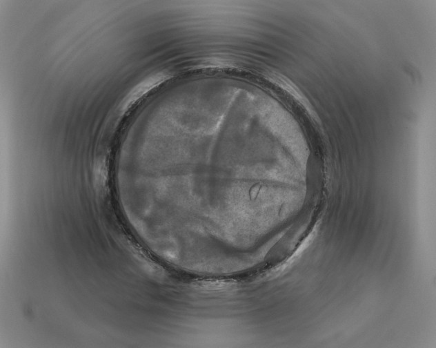 X0000113300826200910131045