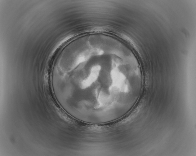 X0000113300827200910131045