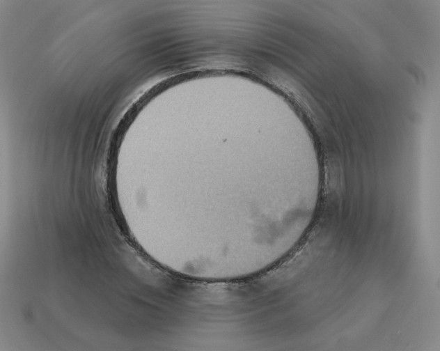 X0000113300828200910131045