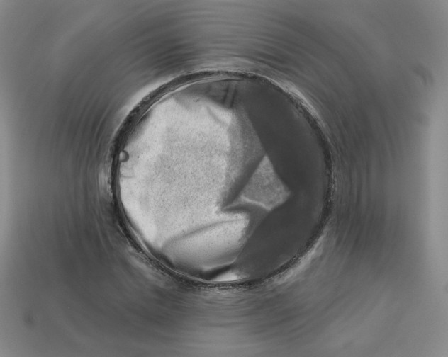 X0000113300830200910131045