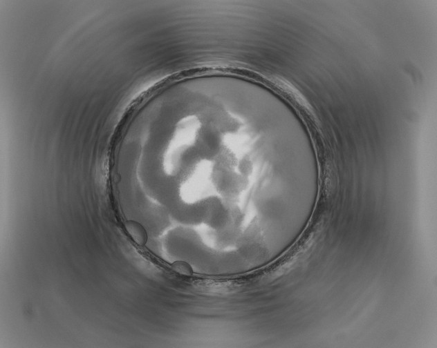 X0000113300831200910131045