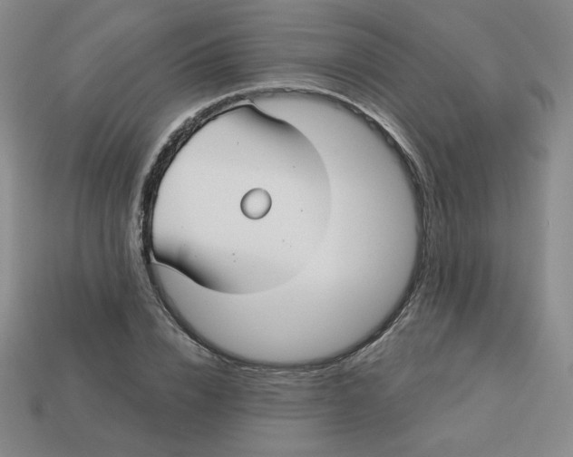 X0000113300832200910131045