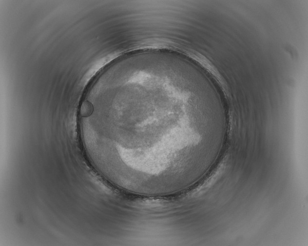 X0000113300834200910131045