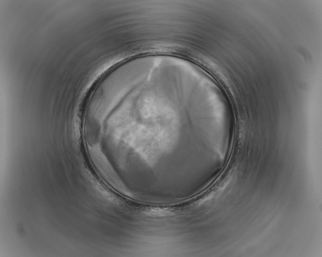 X0000113300835200910131045