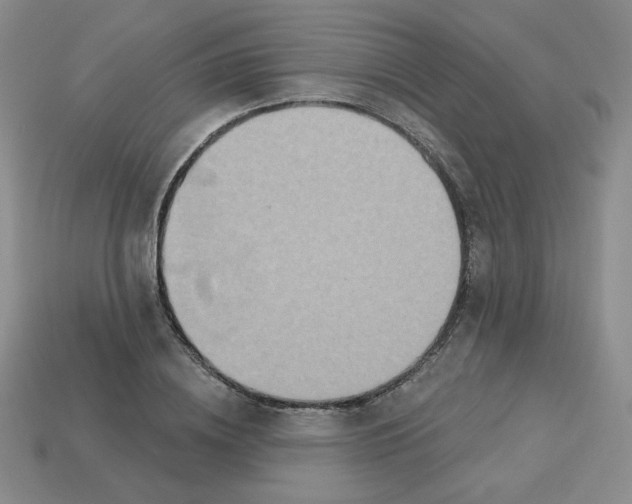 X0000113300836200910131045