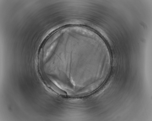 X0000113300837200910131045