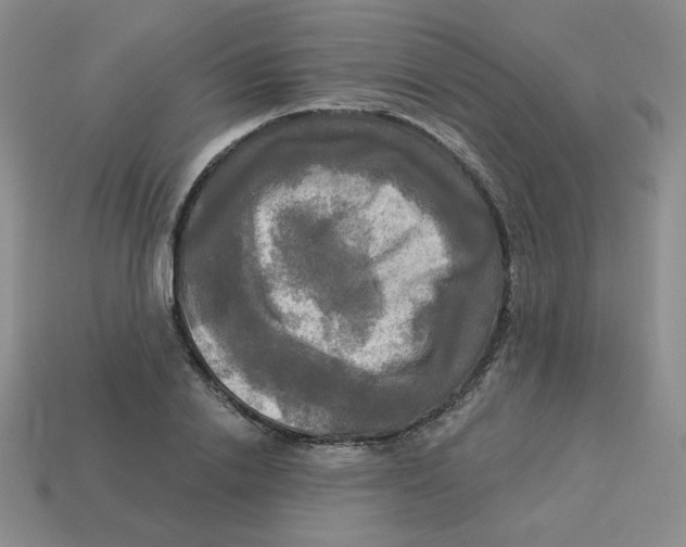 X0000113300838200910131045