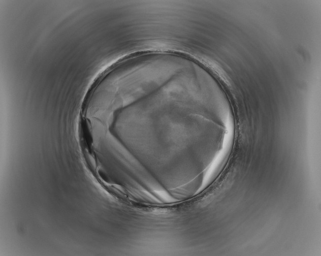 X0000113300839200910131045