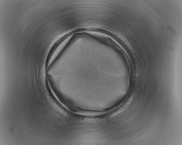 X0000113300840200910131045