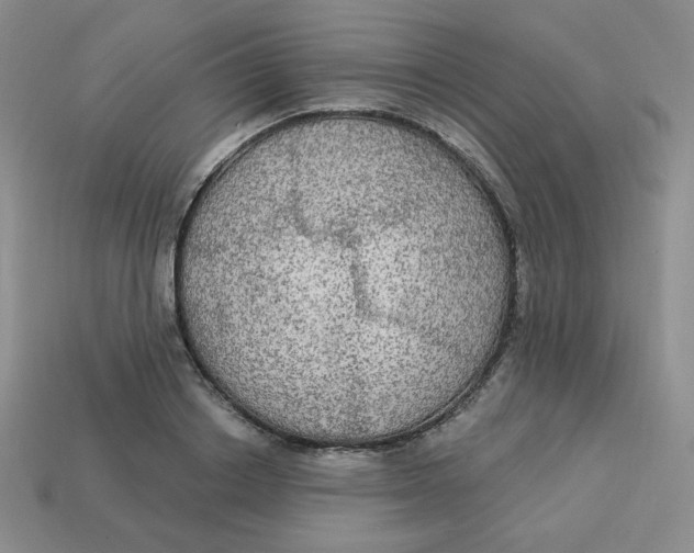 X0000113300842200910131046