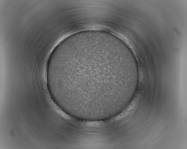 X0000113300843200910131046