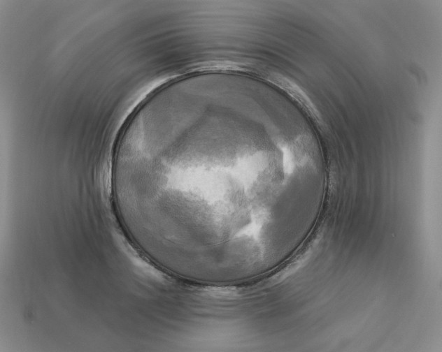X0000113300844200910131046
