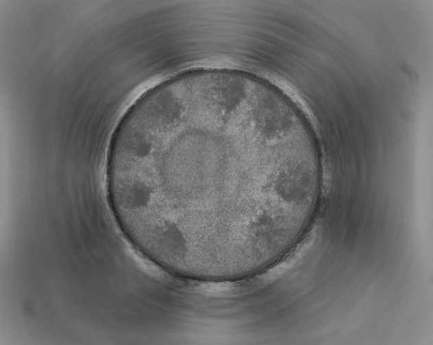 X0000113300845200910131046