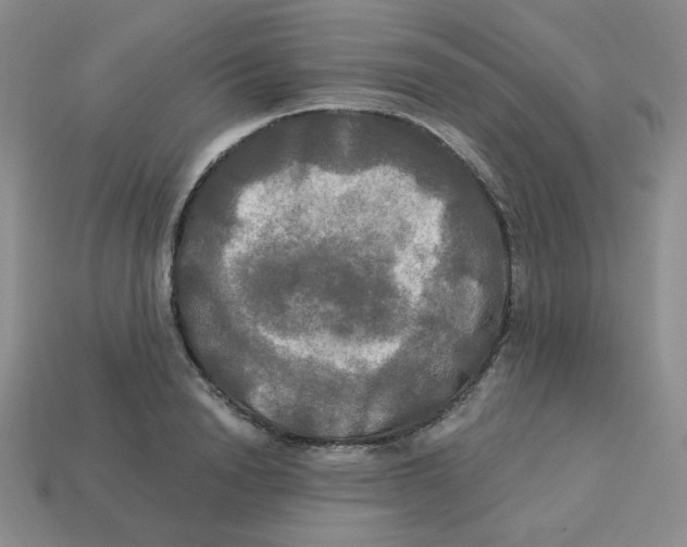 X0000113300846200910131046