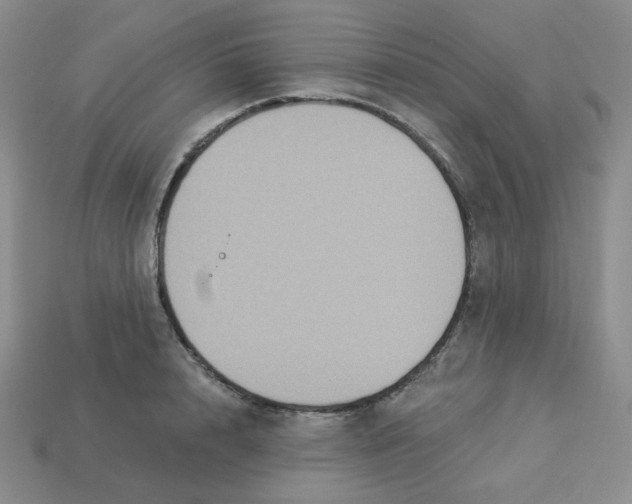 X0000113300848200910131046