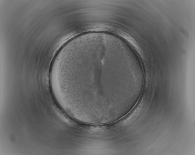 X0000113300850200910131046