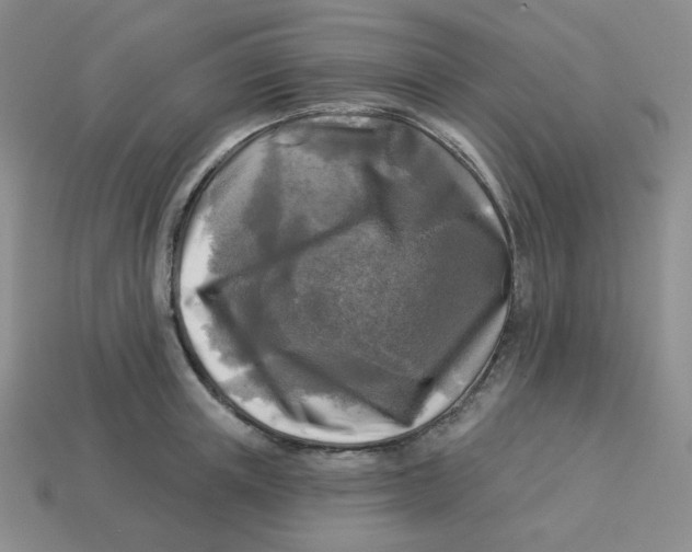 X0000113300851200910131046