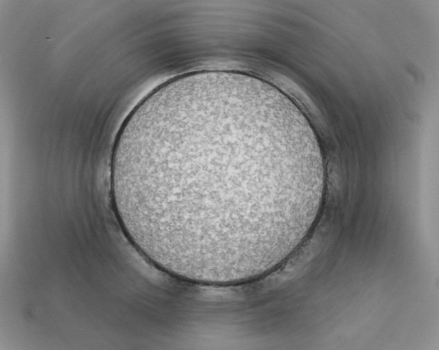 X0000113300852200910131046
