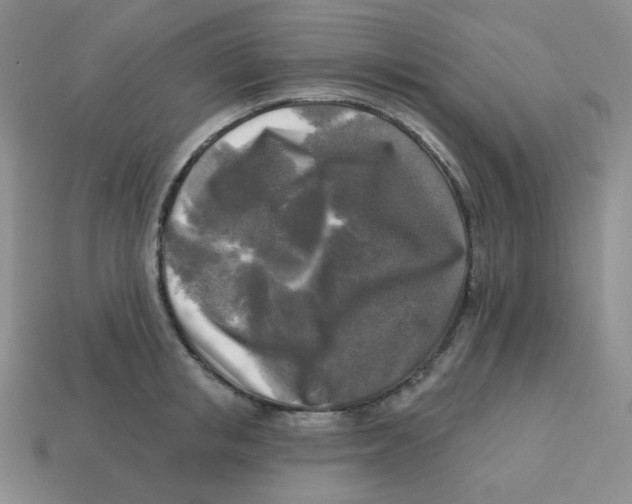 X0000113300853200910131046