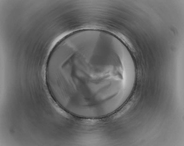 X0000113300854200910131046