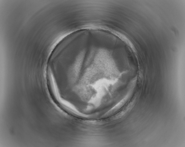 X0000113300855200910131046