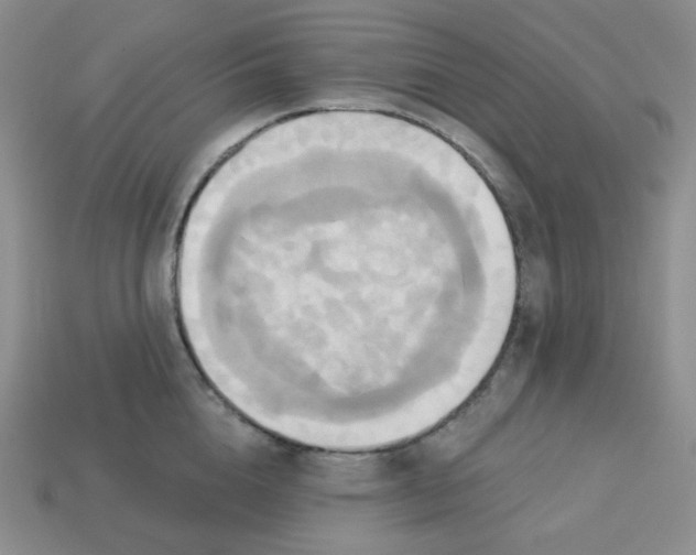 X0000113300856200910131046