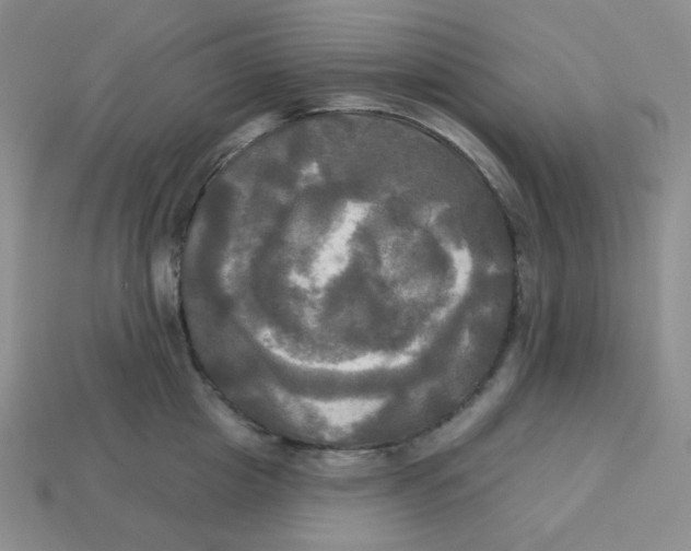 X0000113300857200910131046