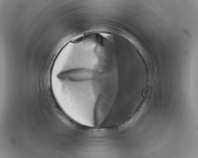 X0000113300858200910131046