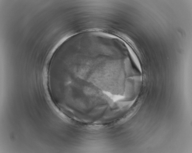 X0000113300859200910131046