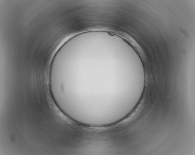 X0000113300860200910131046
