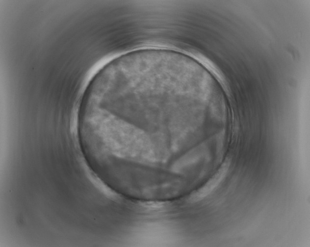 X0000113300862200910131046