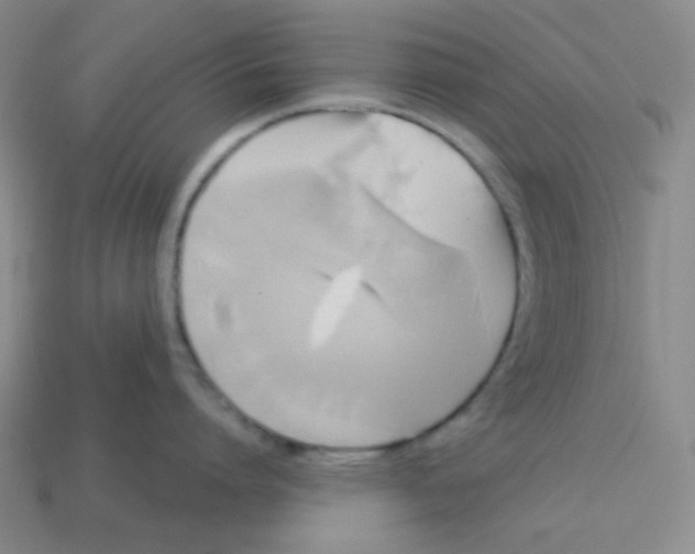X0000113300864200910131046