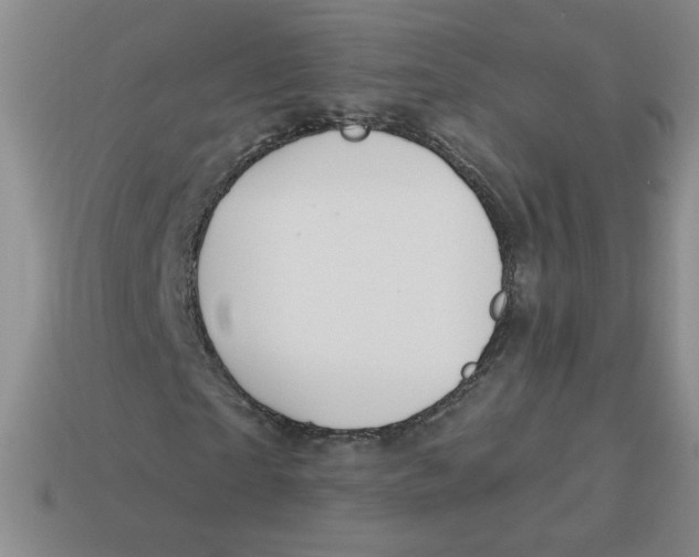 X0000113300865200910131045