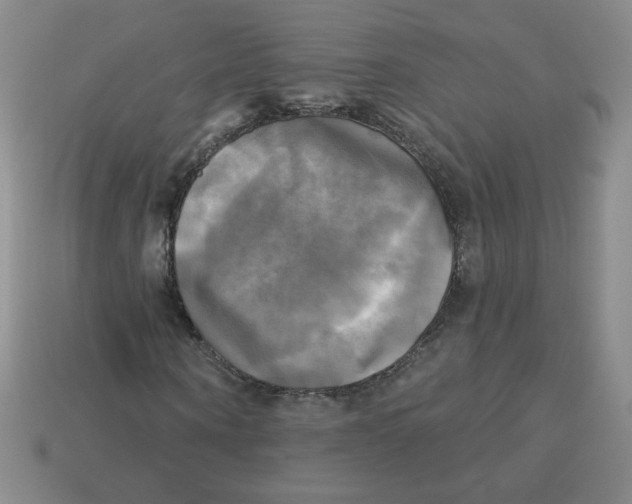 X0000113300866200910131045