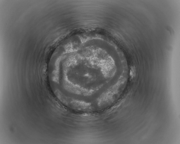 X0000113300867200910131045