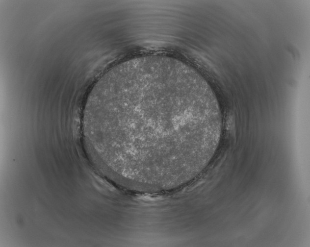 X0000113300868200910131045