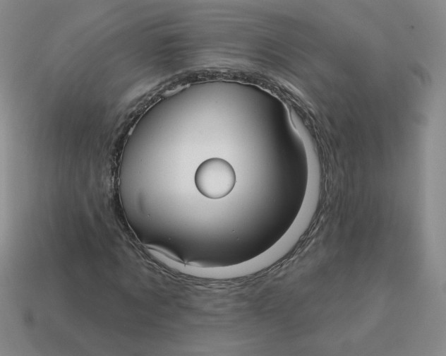 X0000113300869200910131045
