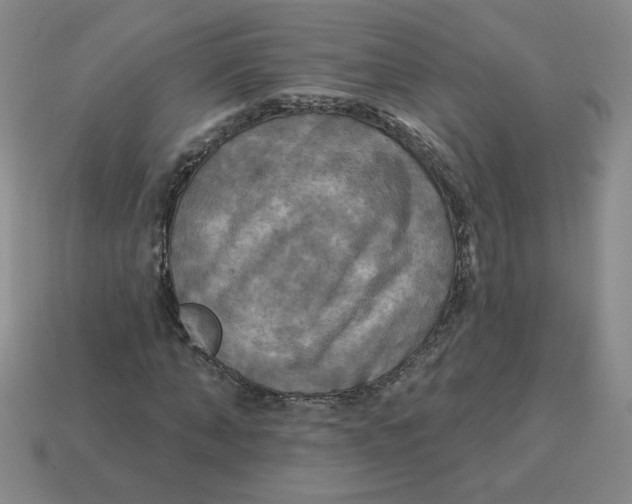 X0000113300870200910131045