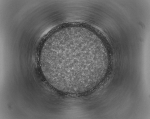 X0000113300871200910131045