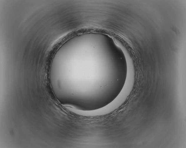 X0000113300872200910131045