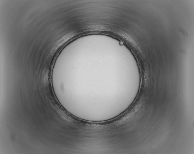 X0000113300873200910131045