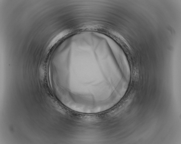X0000113300874200910131045