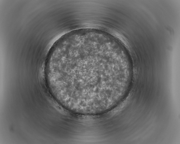 X0000113300875200910131045