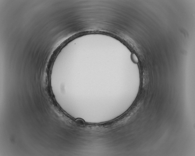 X0000113300876200910131045