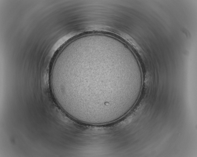 X0000113300877200910131045
