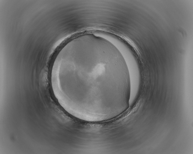 X0000113300878200910131045